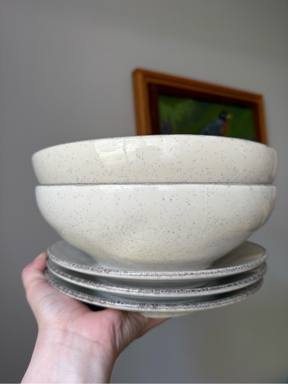 5 Piece Set of Value Ceramic Speckled Dishes Made in Portugal 2 Bowls 3 Plates